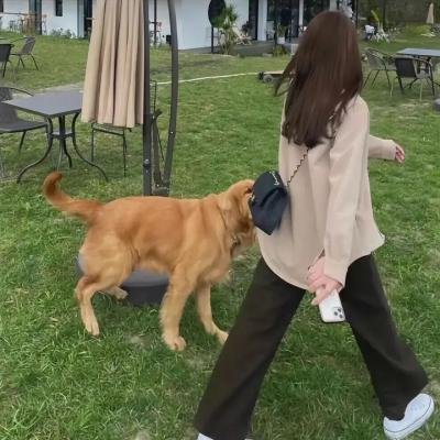 绝对不要模仿